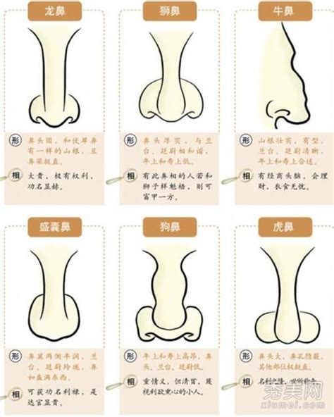 露鼻孔 面相|面相入门